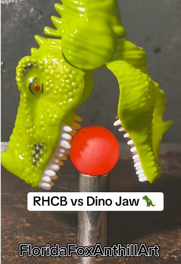 RHCB vs Dino Jaw: Epic Dinosaur Showdown