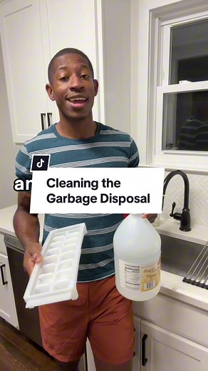 A tip for cleaning the garbage disposal. #homeowner #newhomeowner #homemaintenance #garbagedisposal #garbagedisposalcleaninghack #CapCut