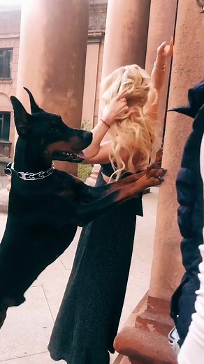 Семейка с доберманом на TikTok