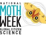 Celebrate National Moth Week 2024 at Community Park, July 27