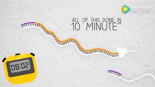 10min内完成cDNA合成