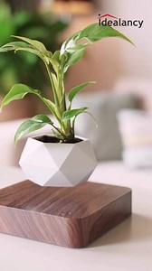 Magnetic Floating Flower Pot Watch your plant defy gravity! This levitating pot brings futuristic charm to any space. 🌿✨ #FloatingFlowerPot #LevitatingPlanter #HomeDecor #MagneticMagic #PlantLovers | Idealancy