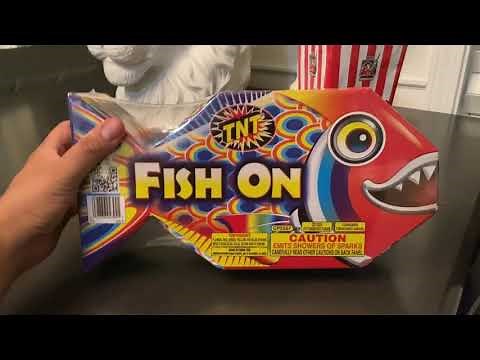 GO FISH TNT FIREWORK REVIEW DEMO FROM TARGET. WATCH BEFORE YOU BUY