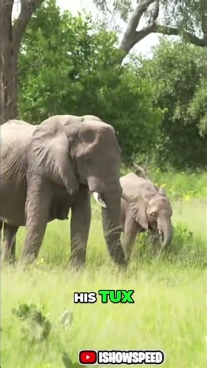 Unbelievable Mud Bath: This is INSANE! #shorts