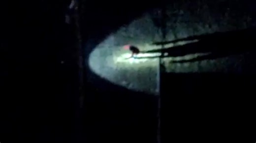 KAKE News has obtained drone footage of the moment 46-year-old Charles Scott was arrested by the Wichita Police Department on January 2. Scott was charged with allegedly robbing the Circle K at 1254 South Tyler. An employee told officers a man had entered the store armed with a handgun and demanded cash from the register. The employee handed over cash, and the suspect fled westbound on a bicycle. “This is exactly how technology helps us in real time,” Wichita Police Chief Joseph Sullivan said. “