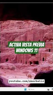 👉 Activa la Vista Previa en Windows 11 | Truco fácil para el Explorador de Archivos