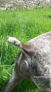 570K views · 4.6K reactions | Itt kezdődik a munka❤️ írtam már, hogy...