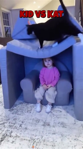 Kid VS Kat #kidvskat #silly #cat #catvideos #funny #sillycat #cute #funnycat #pets #fypシ #fyp #pet