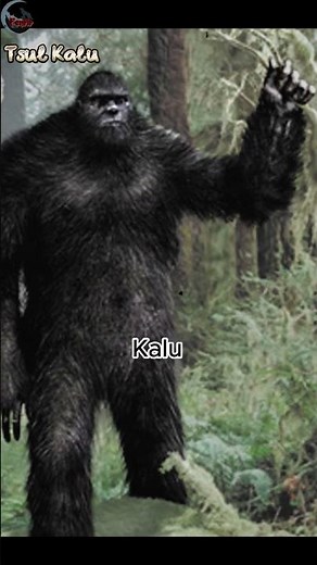 Tsul 'Kalu: The Cherokee Devil of North Carolina. #folklore #tales #cherokee #devil