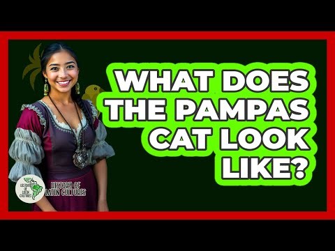 What Does the Pampas Cat Look Like?