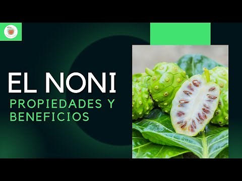 NONI: ITS PROPERTIES AND BENEFITS