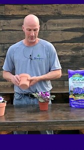 257 reactions · 39 shares | How to transplant an African violet into a larger container. #africanviolets #africanviolet #plantcaretips #PlantCare #HousePlants #houseplantclub #houseplantcommunity #bloomingplants | Sharkey's Greenhouses | Facebook