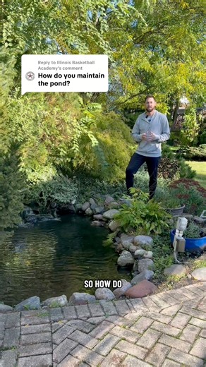 How I maintain my backyard koi pond | Cichlid Bros