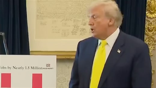 Donald Trump baffles viewers by displaying new chart with no explanation
