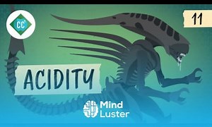 Mind Luster - Learn Acidity Crash Course Organic Chemistry 11
