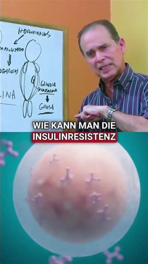 Why your cells no longer listen to insulin