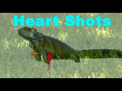 Blowgun Heart Shots.... The Purge 2