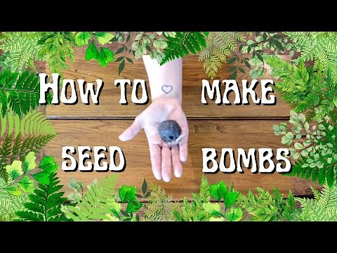 How to Make Seed Bombs