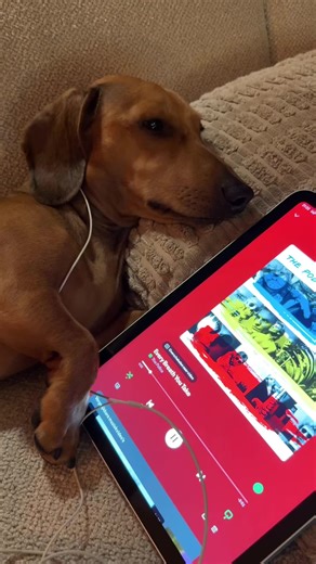 DailySongDrop (@dailysongdrop0)’s videos with original sound - DailySongDrop