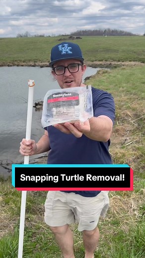 Giant Snapping Turtle Removal: Hooked on a Monster!
