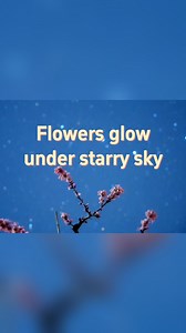 7.6K views · 81 reactions | A Chinese astrophotography enthusiast captured this magical scene of spring blossoms under a stunning night sky in Shanxi, China. #China #astrophotography #SpringBlooms #StarrySky | China Xinhua News | Facebook