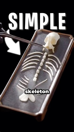 I Ate a Fish Skeleton… But Not Like You Think 😳