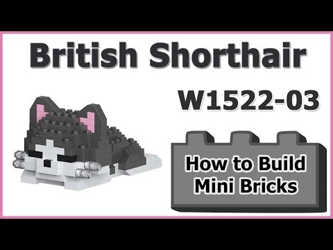 How to Build Mini Blocks British Shorthair W1522-03 Review Instructions Specifications