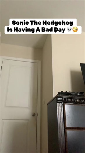 Poor Knuckles LOL 🤣 #sonic_boom_crackhouse #fypシ゚viral #fypシ゚viral #fypシ゚viral #fypシ゚viral #fypシ゚viral #comedy #wow #funny #sonicthehedgehog #knuckles #seasideisland #fyppppppppppppppppppppppp #fyppppppppppppppppppppppp #fypシ #fypシ #fypシ #fyp #foryoupage❤️❤️ #foryoupage❤️❤️ #2014 #2024 #trending #viralvideo #SonicBoom