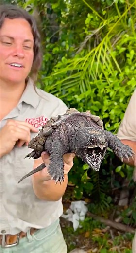 12K views · 312 reactions | Get ready to meet some of the rarest baby...