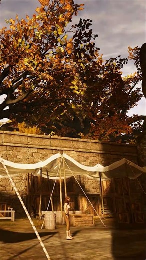 The game features day/night cycle