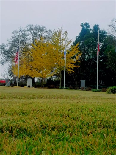 Wade Hampton Veterans Park Tribute - December 31, 2022