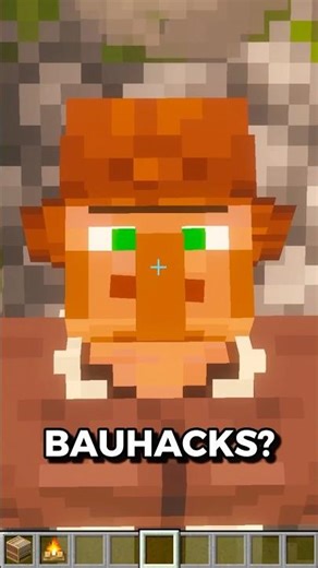 bauhacks! #minecraft #shorts