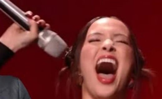 Alan Walker凡希亚共创新歌！【Faouzia电音合集】电子音乐,EDM等