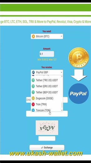 Bitcoin (BTC) to PayPal: Instant Withdrawal Step-by-Step (2026) #bitcointopaypal