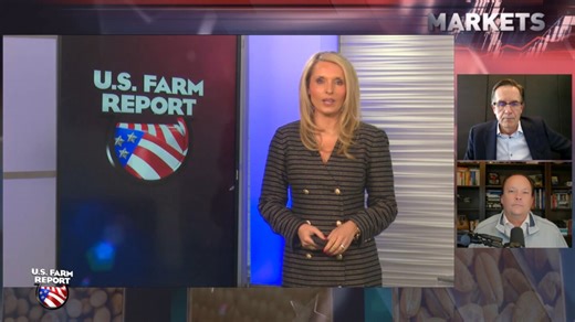 Why the Iran Conflict Could Shrink U.S. Corn Plantings This Spring