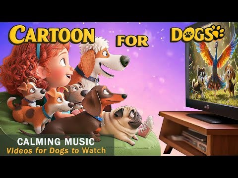 12 Hours Dog Cartoons for Dogs with Music: Videos for Dogs Calm Home Alone | Relaxing Music for Dogs