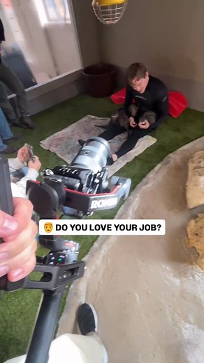 It’s always a blast when you get to work with animals! #Videoproduction #videography #videoeditor #behindthescenes | Fay Solutions