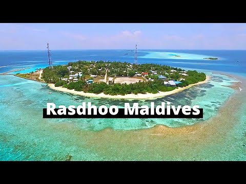 All you need to know about Rasdhoo Maldives | Local island Maldives | Maldives on a budget