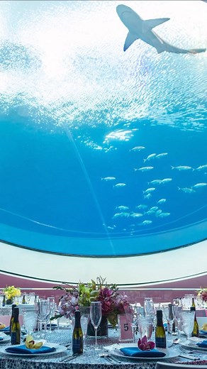 ✨Have an event you’ll never forget at Frost Science. 朗 Dive into our...