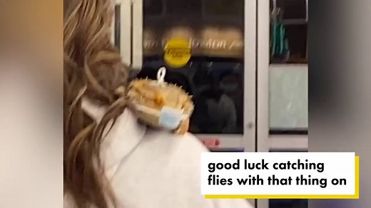 Law-abiding lizard goes shopping in a face mask