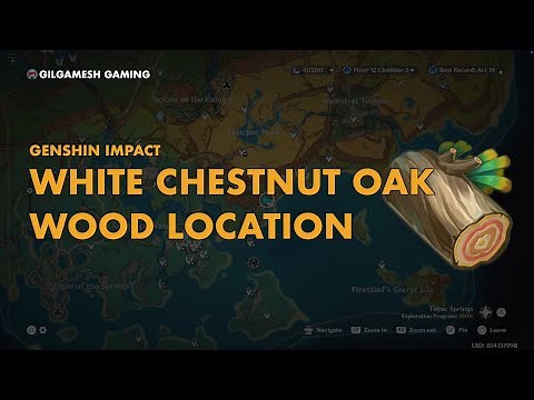 White Chestnut Oak Wood Farming Route | Genshin Impact Natlan