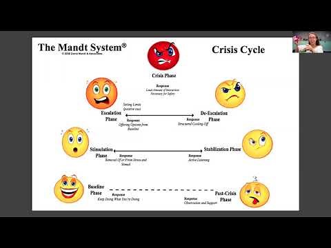 Brain States & Crisis Cycle Overview with Debbie Mondale