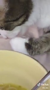 3.1M views · 15K reactions | TikToks you need to see on Reels | Facebook