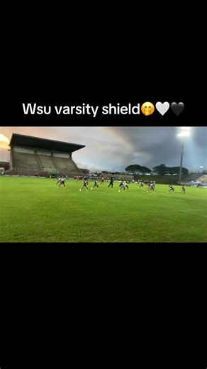 WSU Cheer Squad: An Inside Look at Their Spirit and Style