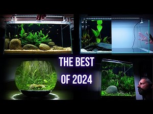 My BEST AQUARIUM BUILDS in 2024 (Step by step AQUASCAPING TUTORIALS)