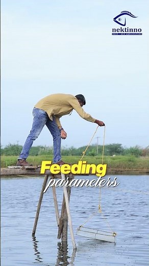 5 Secrets to Successful Shrimp Farming | Nektinno’s Proven SOP Explained!