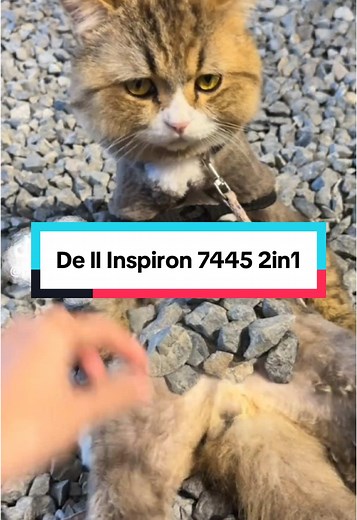 Laptop Chạy Win trên TikTok