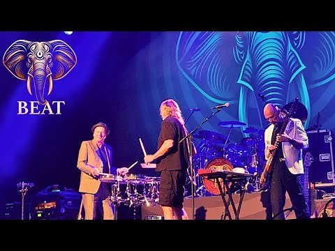 BEAT - Performing 80's King Crimson LIVE in Orlando FL, 9-27-2024
