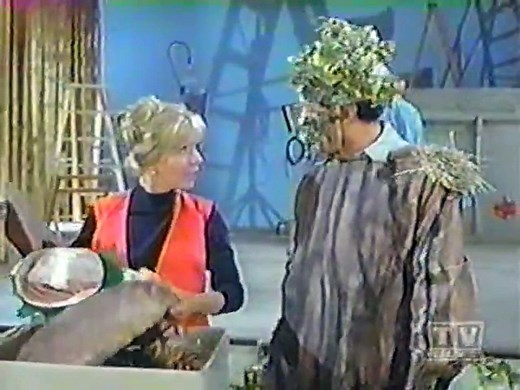 Mayberry RFD - S03E05 - All for Charity