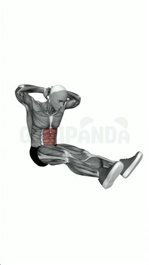 Sit-Up - Perfect Form Guide #shorts